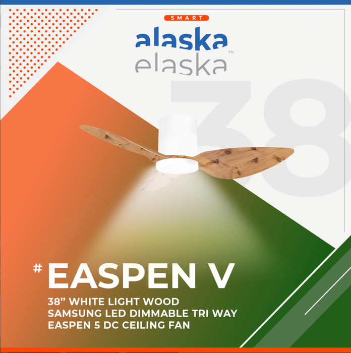 Alaska Aspen DC Fan