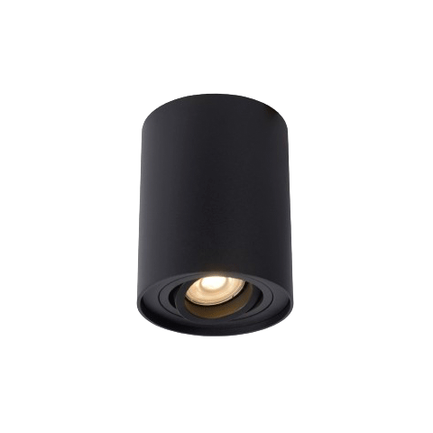 Cylinder Easy Change Ceiling Lamp ( Black )