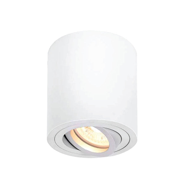 Cylinder Easy Change Ceiling Lamp (White)
