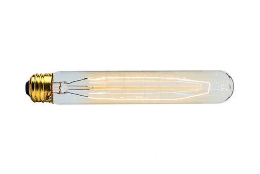40 Watt Light Bulb