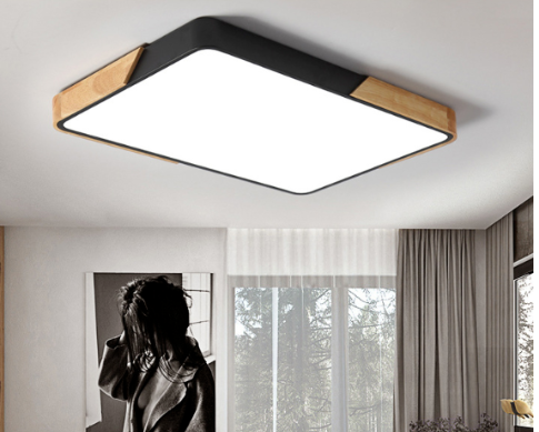Macaroon Rectangle Ceiling Light in Black