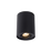 Cylinder Easy Change Ceiling Lamp ( Black )