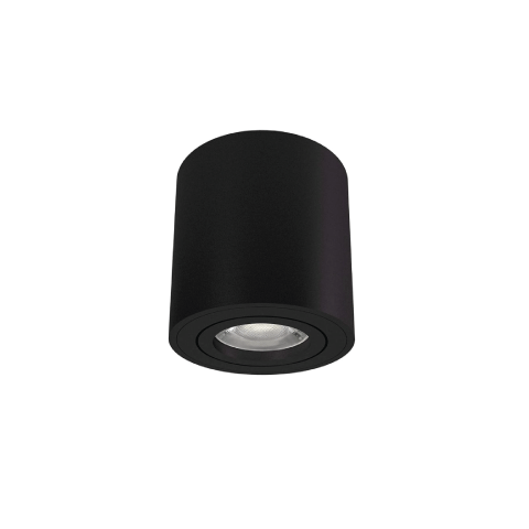 Cylinder Easy Change Ceiling Lamp ( Black )